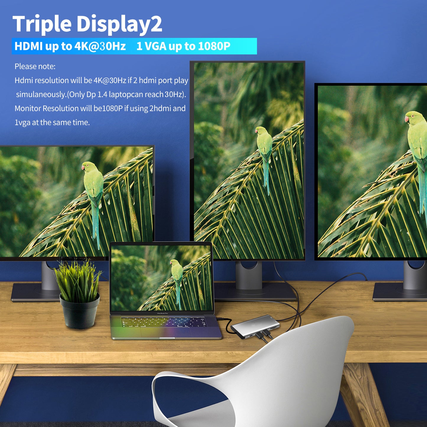 USB-Hub mit USB-Anschluss: USB-C auf zwei HDMI/VGA-Adapter für 12-in-1-Notebook- und MacBook-Geräte 